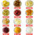 酷发破布子罐头新鲜水果罐头混合装每罐425克梨杏橘子菠萝草莓什锦黄 桃+马蹄+梨+什锦+葡萄+椰果