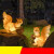 发光动物灯松鼠灯园林亮化灯景区太阳能景观灯 太阳能板