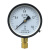 Y-100压力表真空表水压气压油压表0-11.62.5MPA 0-0.25MPA