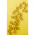 染色ps微球单分散聚苯乙烯染色微球 50毫升 10%固含量100mg/ml 尺寸颜色可
