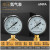 铂唯 高压氮气减压器YQD-370空调压力6*25MPa激光切割 氮气减压器（0-6MPa）1套