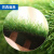 科力邦（Kelibang）仿真人造草坪地毯 塑料假草皮阳台公园装饰绿植绿色地毯 足球场草坪 加密翠绿15mm KB1218