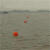 定制高强度塑料浮球ABS双耳加筋圆型航道设施警示水上划赛道渔网浮标 直径10x10标圆泡沫球(红白黄蓝)
