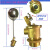 zimir黄铜浮球阀水塔水池可调式不锈钢水箱大流量4分6分1寸DN152540 4分铜浮球(中体)