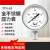 北京布莱迪BLD仪表YTH63F不锈钢气液油耐高温真空全钢指针压力表 006MPA现货