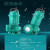 水泵WQ6-16-0.75L污水泵潜水泵排污泵泥沙浆泵化粪池水泵定制 WQ25-15-2.2L1三相(2.5寸)