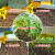 佳依乐儿童科学实验套装小学生种植盲盒观察种花种菜植物盆栽种的 香薰种植手提盒
