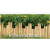 有豫      竹竿装修竹竿园艺耐用装饰竹条 直径4cm*1.7米1根      单位：根