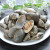 沃喜乐新鲜红岛蛤蜊500g 新鲜蚬子花蛤花甲蛤蜊肉干 贝类海鲜水产 2000g