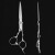 钢夫厄将钢夫沙宣刘海成人剪子工具平剪发型师用专业理发剪刀美发 刀锋系列6寸平剪(P3-MT600)