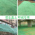 定制适用盖土网防尘网建筑工地绿网覆盖网绿化网裸土遮盖网绿色环保密目网 绿色3针8米宽30米长 绿色