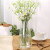极度空间 玻璃花瓶插花瓶水培植物生态花瓶养花容器装饰摆件 极光幻彩