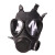 德联泰 防毒面具头戴式 FNJ05过滤式呼吸防化全面罩 单面罩+滤罐+收纳包+收纳箱