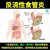 [圣特记] 陈香露白露片 0.3g*100片/盒 -2盒-【中药治胃病】