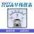 HUA华伟指针式电流电压表 -AC5A-10A-20A-30A-50A-300V-500V 交流 AC 10A 直通