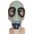 百舸 防六氟化硫防毒面具SF6橡胶灰色头戴式电力防毒全面罩 0.5米导气管+3级滤毒罐