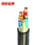 沈缆金环 ZR-VV-0.6/1KV-3*50+2*25mm² 国标铜芯阻燃电力电缆 1米