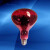 远理疗灯烤电灯泡理疗家用电烤灯神灯红光灯灯泡 275W光面红光（高品质全红温度 100300W E27陶瓷 100300W