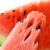 有机汇 有机西瓜 迷你红玉西瓜 皮薄清甜  新鲜有机水果 欧盟美国中国有机认证 无农残无化肥无激素 1750g