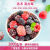 冷冻混合莓果急冻蓝莓红树莓速冻水果健身低糖低卡浆果 夏日莓白(树莓蓝莓草莓无花果奇 1000g