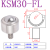 圆柱直筒精密型万向球KSM22-FL万向滚珠轴承螺杆重型牛眼轮实心 KSM30-FL(整体不绣钢）