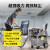 KARCHER 德国卡赫 商用工业桶式干湿两用抖尘大功率大吸力吸尘器 NT30/1 AP 30升尘桶 原装进口