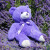 澳洲紫色薰衣草小熊新疆伊犁公仔枕头娃娃助睡眠抱抱熊毛绒可爱送 薰衣草小熊50厘米左右