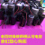 浙江双峰电容电机启动运行电容器 全系列  保证质量 20VF-450V 尺寸36.5*65