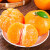 华味仙广西武鸣特产沃柑新鲜水果桔橘子当季时令生鲜 3斤中果