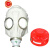 一护防毒全面具面罩 E40接口 防汞蒸气(面具+6#小罐)