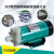 福奥森 定制适用MP-10RN/15RM/20R/30R/55R 耐腐蚀电渡水泵器泵微型磁力泵 MP-55RZM