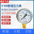 Y-60mm径向压力表水压气压油压真空表空调化妆品机器仪表0-1.6mpa Y60普通 025Mpa
