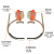 JT-K加厚活动式水泥杆脚扣电工爬杆铁鞋登杆电力脚扣杆爬杆 300型-10米杆