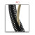 冬巷 PA尼龙波纹管 软管电线保护套(内径48mm) AD54.5-25米/卷-开口