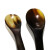 牛角匙 牛角勺 牛角药匙 牛角药勺  天然牛角小勺 精致取样药勺 精致抛光牛角勺 22cm