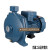 IQ离心泵大流量工业节能循环泵农用灌溉抽水泵管道增压泵 IQ25-158D0.75/158C 1寸单相