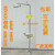 不锈钢复合式紧急冲淋立式喷淋验厂洗眼器装置 单进水口+踏板