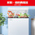 星星（XINGX）冰柜商用家用单温单箱冰柜 冷藏冷冻转换冷柜 顶开门冰箱 以旧换新 BD/BC-205C预涂内胆 205L