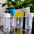 定制一次性大便采集杯 粪便 便常规检验化验盒 收集样本采集瓶 标 60ml螺旋黄盖以