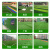仿真草坪地毯幼儿园人造假草皮装饰阳台户外绿色围挡人工塑料绿植定做 2.5厘米加厚加密春草50平
