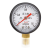 红旗牌仪表Y-50/Y-50Z径向轴向压力表油压表水压表气压表2.5级 0~16MPa（轴向）