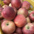 颜曼箐粉面沙甜苹果红星红香蕉苹果老人宝宝刮泥吃粉糯面甜水果 80（含）-85mm（不含） 5斤粉面苹果