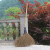 定制竹扫把农村老式竹丝扫帚笤帚户外庭院环卫通用大扫把扫院子 鬃毛扫帚长14米