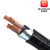欧知联电缆ZC-YJV22 3*95+1*50平方国标铜芯铠装电力电缆硬线1米 0.6/1KV 聚乙烯