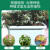 绿族（LVZU）阳台种菜盆滑轮款1个装高款 花盆种菜专用箱蔬菜种植箱长方形