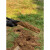 正宗洛阳铲头取土神器挖土洞锹打眼工具挖树考古勘探取样挖孔栽树定制 15米每节一米3把铲头套装