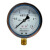 YN100耐震压力表油压表0-1.6/2.5/40Mpa液压水压抗震径向 YN100耐震0-4MPa40公斤