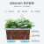 绿族（LVZU）阳台种菜盆滑轮款1个装高款 花盆种菜专用箱蔬菜种植箱长方形