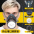 代尔塔（DELTAPLUS）防毒口罩面具全面罩工业防尘喷漆专用防护罩面罩粉尘二手烟呼吸 防尘毒套装+30片滤棉