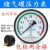 定制定制杭州富阳华科储气罐压力表轴向气压表Y100Z空压机0-1.6MPA压力表 Y100Z轴向背接 01.6mpa Y100Z轴